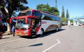 Komplikasi saya merasa harus kuliah karena tempat ini bukan tempat yang saya inginkan. Sewa Bus Pariwisata Kini Lebih Mudah Berita Sembodo Rent A Car