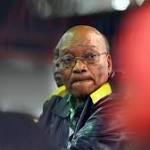 stays report Zuma will forced
