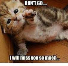 15+ romantic and funny ways to say i miss you so much. 38 Miss You Funny Ideas Miss You Funny Miss You You Funny