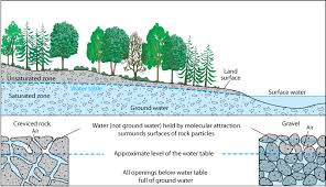 Figure Detailing Ground Water In Relation To The Environment Trees Land Water Surface Etc Groundwater Surface Water Healthy Water