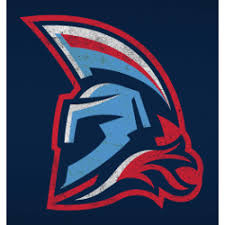 According to our data, the tennessee titans logotype was designed for the sports industry. Tennessee Titans Concept Logo Sports Logo History