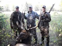 Idaho is one of the few western states left that allow rifle elk hunting during the rut and over the counter tags and although there is a quota on idaho nonresident elk tags, as licensed outfitters in a quota area we have guaranteed tags for hunters who book an idaho elk hunt with us. Elk Hunting Outfitters Alberta Canada Big Stone Outfitting Trophy Elk Hunts