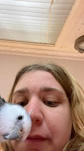 Humorous daily life jokes and food preferences