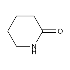 Image result for Dichilus