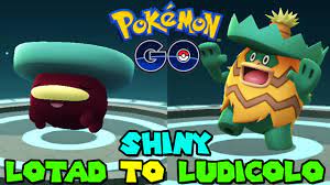 Ludicolo evolves from lombre when exposed to a water stone which evolves from lotad starting at level 14. Evolving Shiny Lotad To Shiny Ludicolo In Pokemon Go Lotad Research Day Youtube