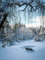 Snowfall On Lost Lagoon Vancouver Canada Winter Pictures Winter Landscape Winter Scenery