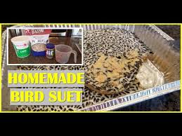 how to make homemade bird suet quick