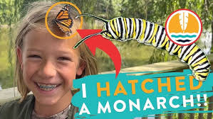 Wildlife Monthly: July