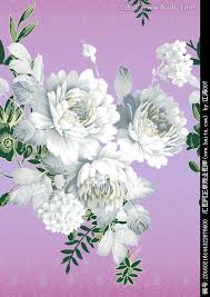 牡丹花手绘牡丹花 flower art floral border design botanical prints