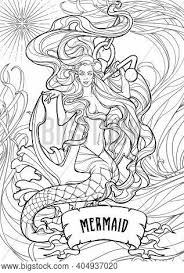 We did not find results for: Beautiful Mermaid Vector Photo Free Trial Bigstock