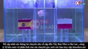 Ở lượt đấu tiếp theo ba lan sẽ gặp thụy điển và buộc phải thắng nếu muốn đi tiếp, còn với tây ban nha thì có. Pfrmznnvndifom