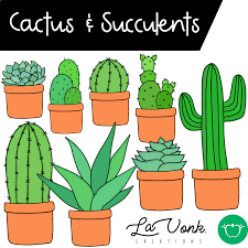 Held by three local cactus and succulent societies, the intercity cactus and succulent show drew hundreds of aficionados of these plants to los © 2019 los angeles county arboretum and botanic garden • 626.821.3222 • 301 north baldwin ave, arcadia, ca 91007 • website design by kirk projects. Cactus Succulent Cliparts Cacti And Succulents Cactus Succulents