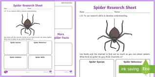 Will she be able sheets, one from each bowl. Charlotte S Web Spider Research Worksheet Worksheet Stories Books Read