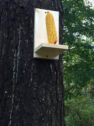 If you want to build a squirrel feeder by yourself in just a few hours, we recommend you to use proper plans and techniques. 25 Diy Squirrel Feeder Plans Do It Yourself Easily