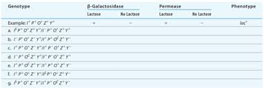 Regulation Of Bacterial Metabolism