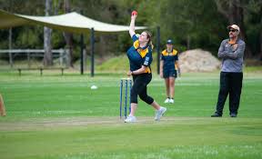 Rochester valiant in first outing of the season