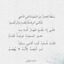شعر أحمد شوقي سقط الحمار من السفينة في الدجى Islamic Quotes Arabic Quotes Quotes