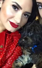 Demi and Batman at the MLB World Series Game Four at the Citi Field