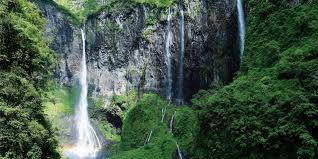Cascade et végétation Salazie