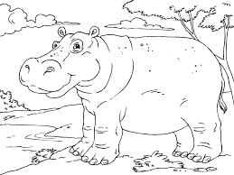 Jpg source click the download button to find out the full image of hippos coloring pages download, and download it for your computer. Free Printable Hippo Coloring Pages For Kids