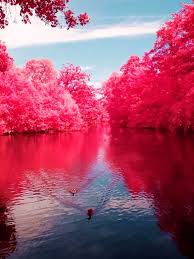 Solemn bears carrying casket, oak hill, west virginia. Beautiful Cherry River West Virginia A1 Pictures Beautiful Places Wonders Of The World Scenery