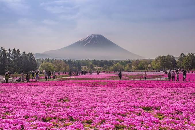 monte fuji