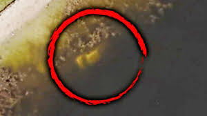 Google earth helps solve cold case in florida. Google Street View Users Glimpse Deceased Family On Google Maps Observer