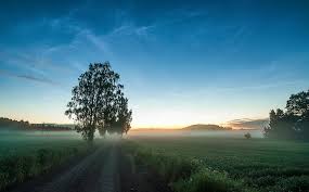 windows nature backgrounds posted by john sellers windows nature backgrounds posted by