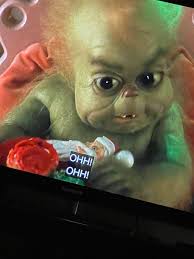 Abbey Shaw (@_shawby_)