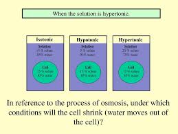 Check spelling or type a new query. Organelles Viruses Etc Ppt Download