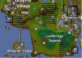 Image result for osrs fishing guide