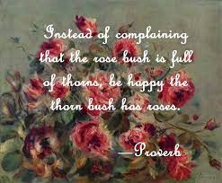 Instead Of Complaining That The Rose Bush Is Full Of Thorns Be Happy The Thorn Bush Has Roses Proverb Rosebush Great Quotes Proverbs