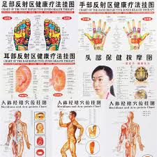 7pcs Set Massage Point Map Acupressure Acupuncture Chinese English Meridian Points Posters Chart Wall Map For Medical Practising