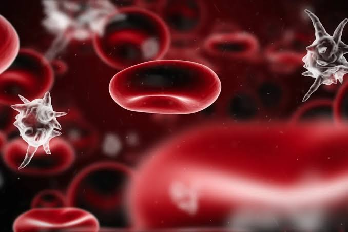 Can You Die From Low Platelets? Critical Levels