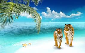 Maybe you would like to learn more about one of these? 3d Beach Wallpapers Tigers On The Beach 1920x1200 Wallpaper Teahub Io