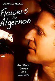 Flowers for algernon summary and analysis of progress report 13. Flowers For Algernon Progress Report 11 12 Quiz Quizizz