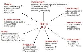 We did not find results for: Rolle Der Zytokine Dr Jens Tartsch