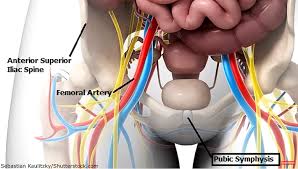 In addition, it shows how to find the radial pulse on your wrist, right below the thumb. Pulse Points Nursing Assessment