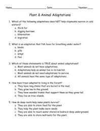 This demonstrates the third law of motion stating that for every action there is an opposite and equal reaction. This Quiz Contains 10 Multiple Choice Questions Over Plant And Animal Adaptations An Answer Key Is Also In Animal Adaptations Plant Science Science Worksheets
