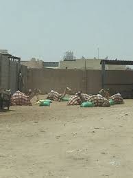 The track holds local tournaments from november through february on friday evenings. Al Shahaniya Racetrack Ash Shahaniyah 2021 All You Need To Know Before You Go With Photos Tripadvisor