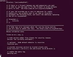 Set Up Local Dns Resolver On Ubuntu 20 04 With Bind9 Linuxbabe