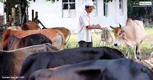 Maybe you would like to learn more about one of these? Apakah Tujuan Raya Korban Disambut Kata Malaysia