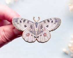 Image result for Parnassius apollo
