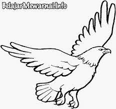 Tidak kalah menariknya yakni mengenai gambar mewarnai untuk anak yakni denah gamabr burung hantu, merak, garuda dan elang. Mewarnai Gambar Sketsa Burung Elang Jawa Terbaru Kataucap