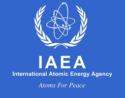IAEA must obtain information through legal means: international law expert - Tehran Times