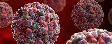 Smaller meals and a bland diet might help limit vomiting. Norovirus Symptome Behandlung Und Verlauf Focus Arztsuche