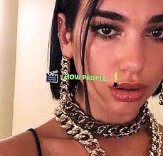 Like or reblog if you save, thanks!! Dua Lipa Grosse Alter Freund Biografie Familie Vermogen Mehr