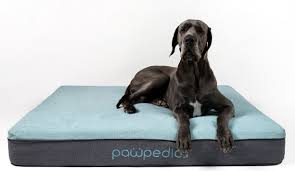 Thank you so much for creating such an amazing product !! What Are The Best Dog Beds In Australia Pawpedics