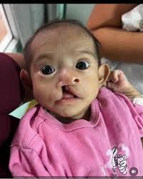 Wahi mapema Nipigie #0785414838