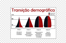 Contribuir a la transición demográfica y social significa tomar en cuenta la diversidad de las dinámicas poblacionales y esforzarse por reducir las desigualdades entre países y dentro de las. Piramide De Poblacion Transicion Demografica Tasa De Natalidad Poblacion Geografia R Palabra Texto Triangulo Tarifa Png Pngwing
